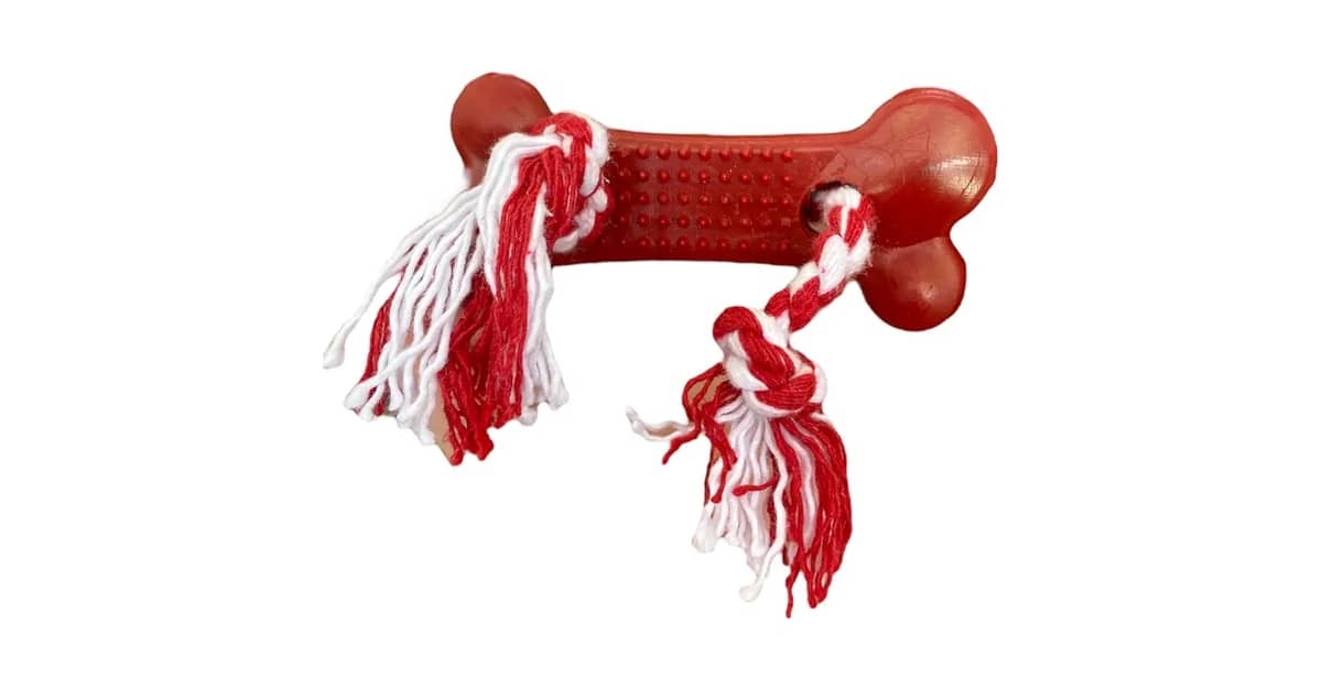 Melhor Osso para Cachorro Filhote: Essenciais Para Mordiscar!