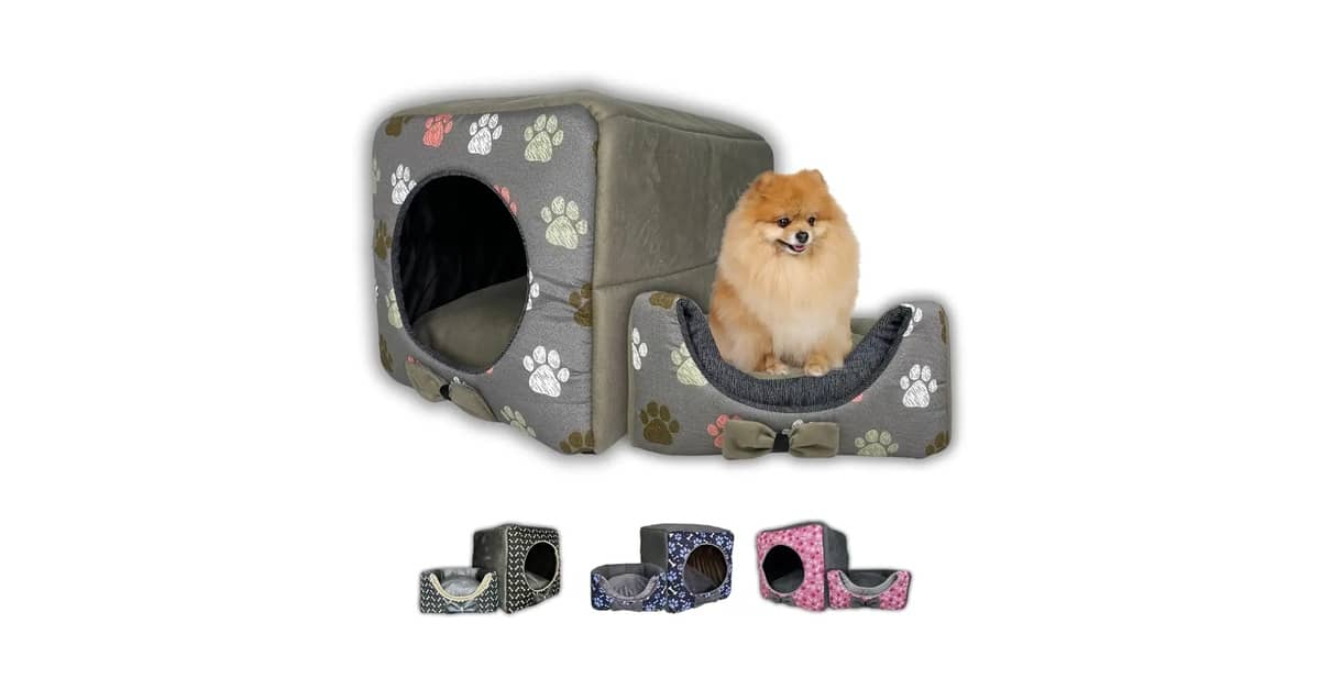 Melhor Piso para Casa com Cachorro: Durabilidade e Estilo