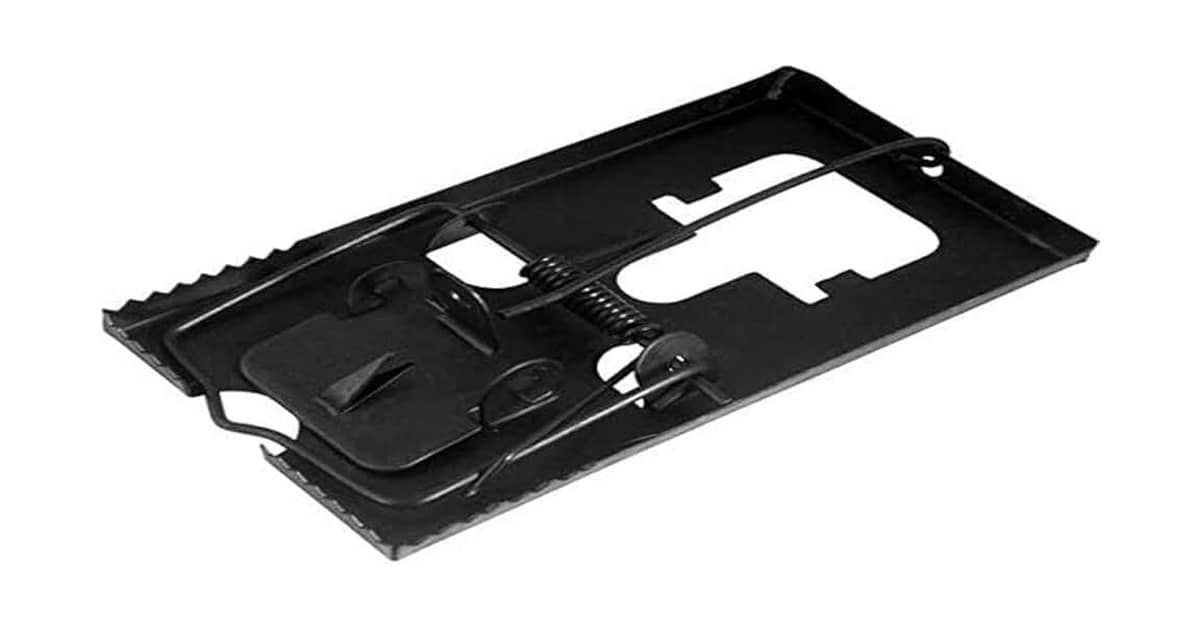 Melhor Ratoeira Caseira: Segurança e Eficiência em Sua Casa