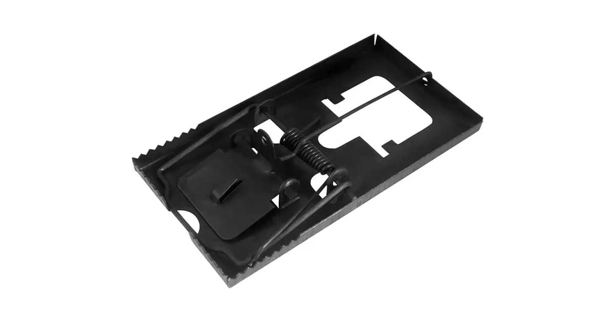 Melhor Ratoeira para Ratos Grandes: Captura Eficaz e Segura