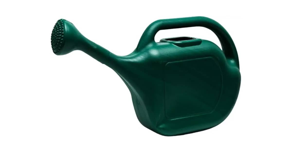 Melhor Regador Stardew Valley: Qual o Ideal para Suas Plantas?