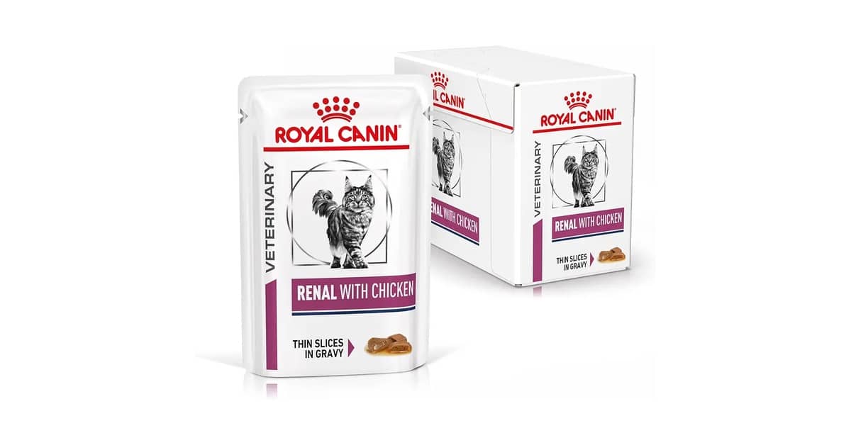 Melhor Sachê para Gato Renal: Guia de Escolha Essencial