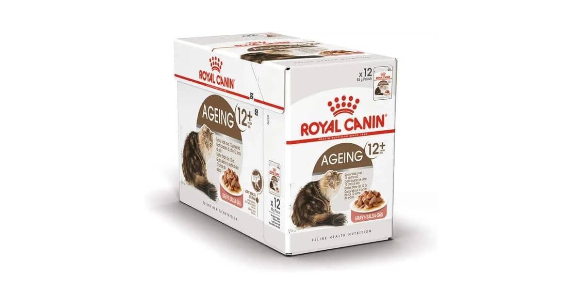 Melhor Sachê para Gatos Idosos: Nutrição Essencial para Longevidade