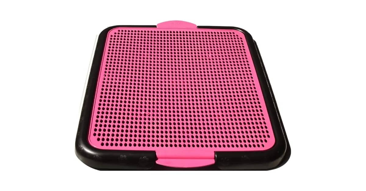 Melhor Sanitario para Cachorro: Guia de Escolha Inteligente!