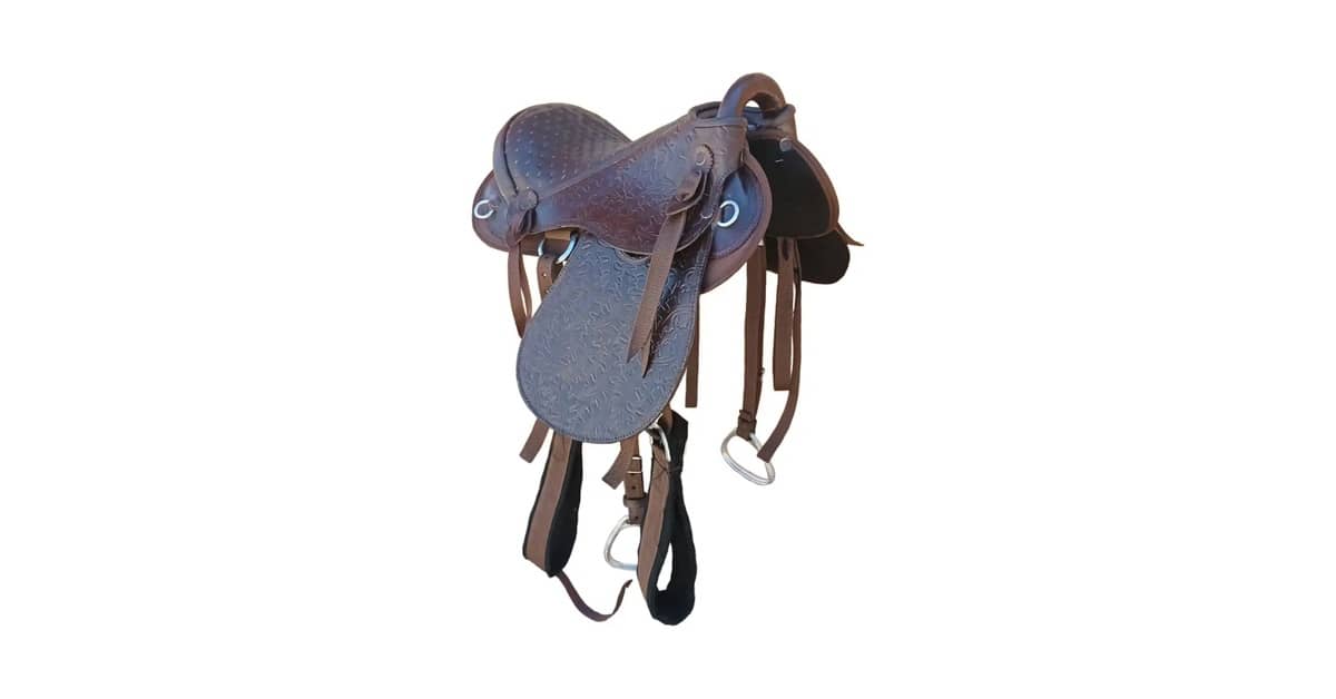 Melhor Sela para Cavalo Crioulo: Conforto e Durabilidade
