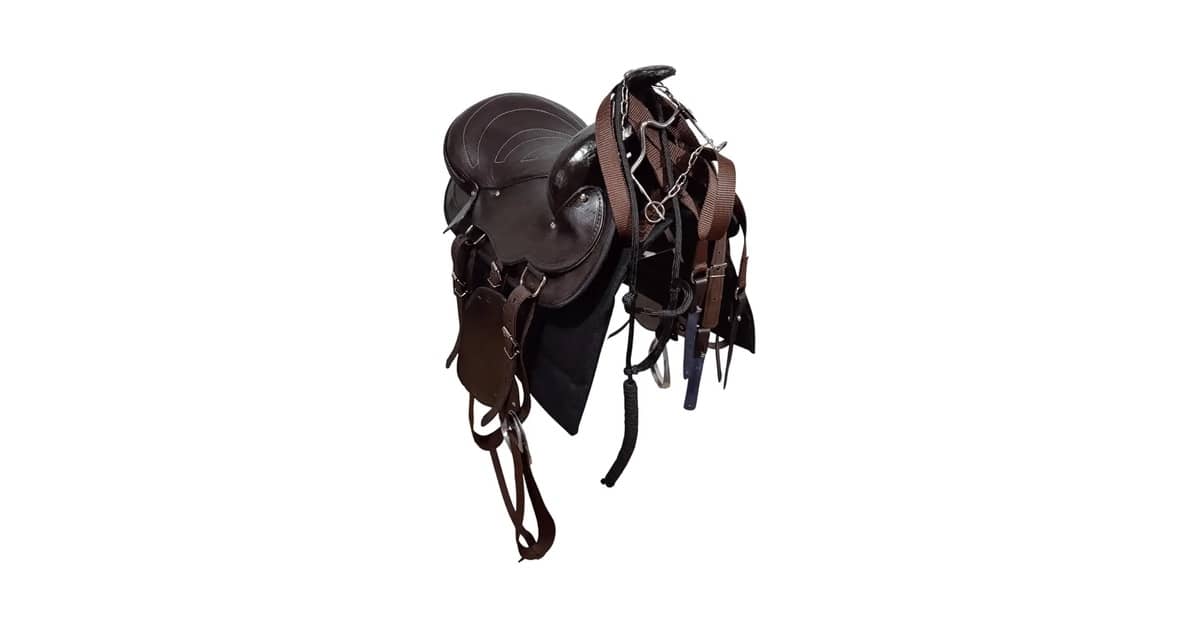 Melhor Sela para Cavalo: 10 Modelos para Performance