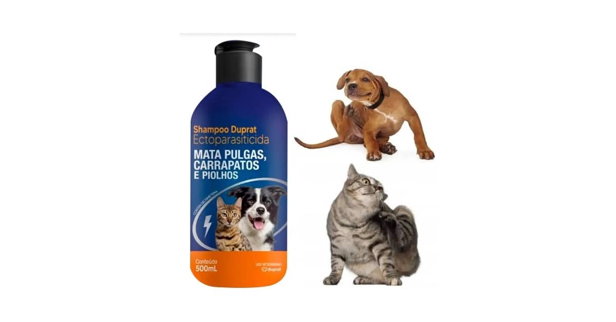Melhor Shampoo Antipulgas para Gatos: Guia Essencial