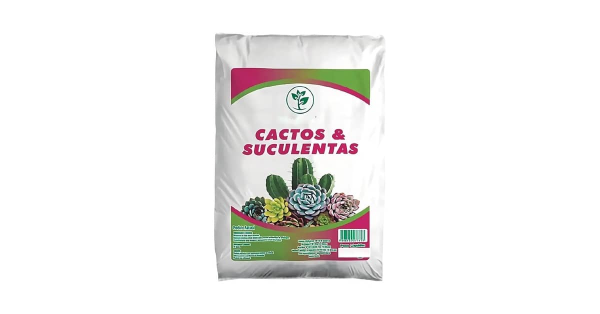 Melhor Substrato para Suculentas: Guia Essencial Drenagem