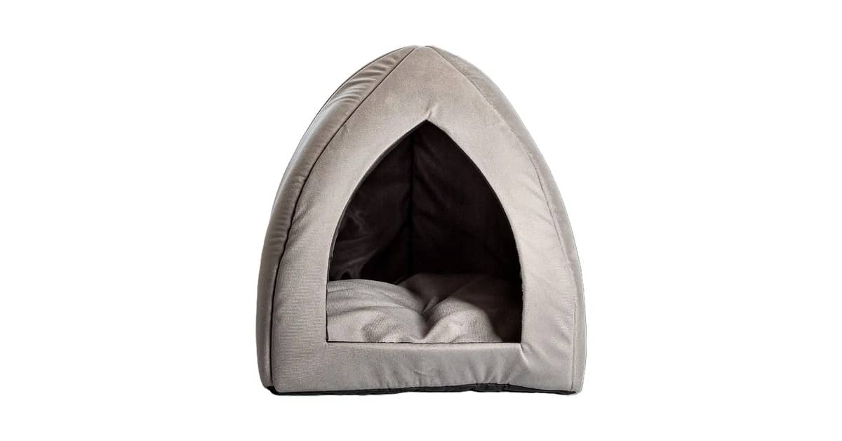 Melhor Tipo de Cama para Cachorro: Conforto e Durabilidade Garantidos