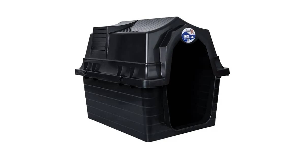 Melhor Tipo de Casa para Cachorro: Guia de Escolha Inteligente