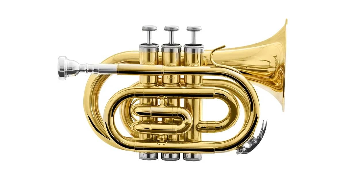 Melhor Trompete do Mercado: Guia de Compra Essencial