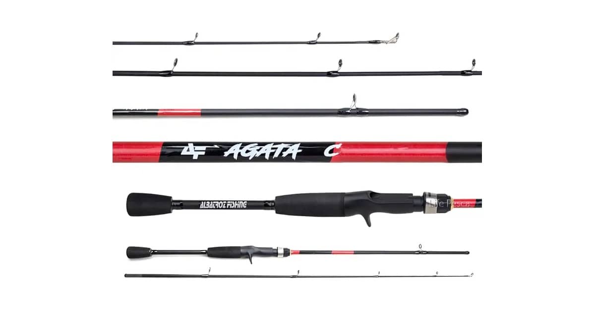 Melhor Vara de Pesca para Carretilha: Guia Essencial