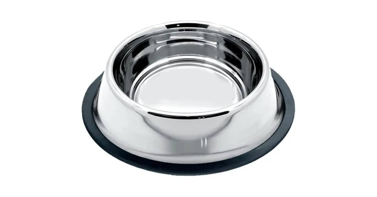 Melhor Vasilha para Caes: 7 Opções Inox e Elevadas