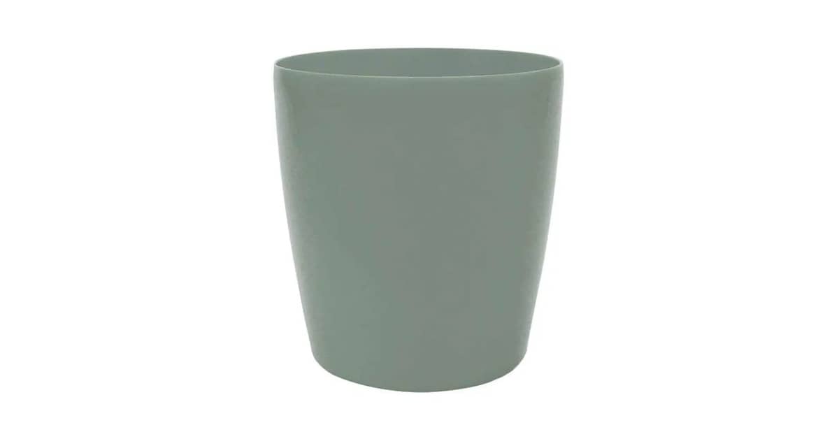 Melhor Vaso Orquidea: Guia Para Escolher o Ideal