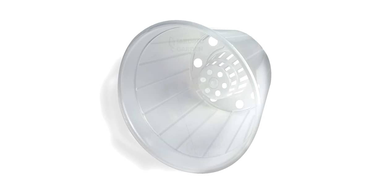 Melhor Vaso para Orquidea Cattleya: Circulação de Ar e Drenagem