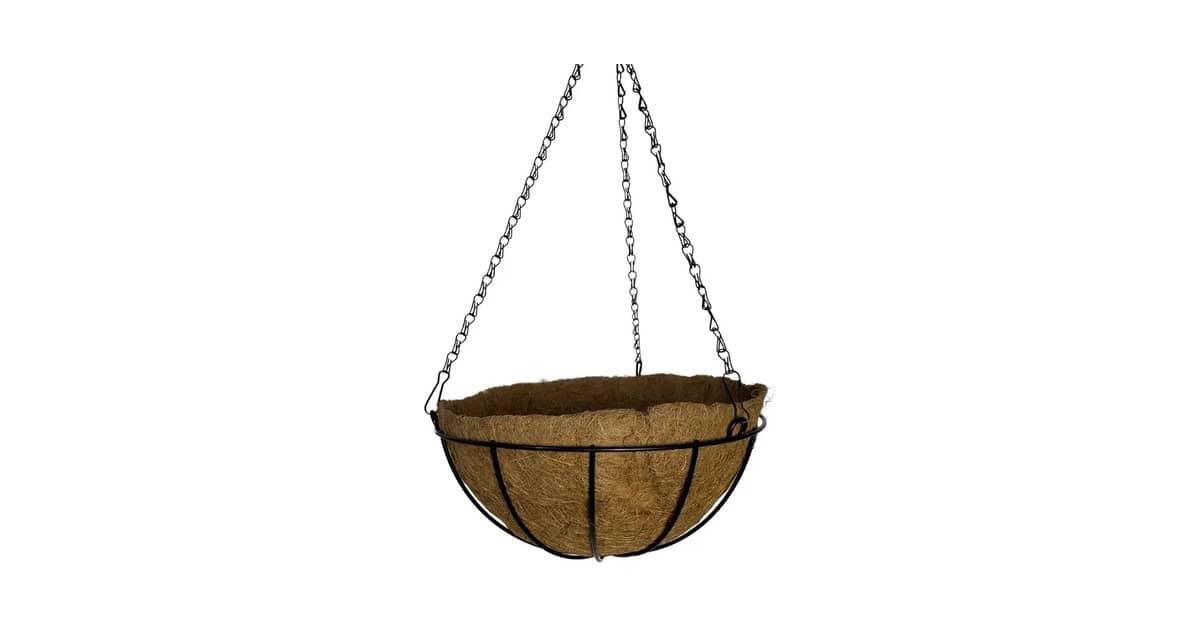 Melhor Vaso para Plantar Samambaia: Guia Essencial para Suas Folhagens