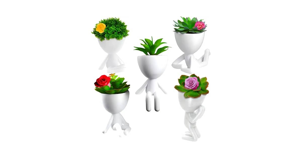 Melhor Vaso para Plantar Suculentas: Guia Essencial