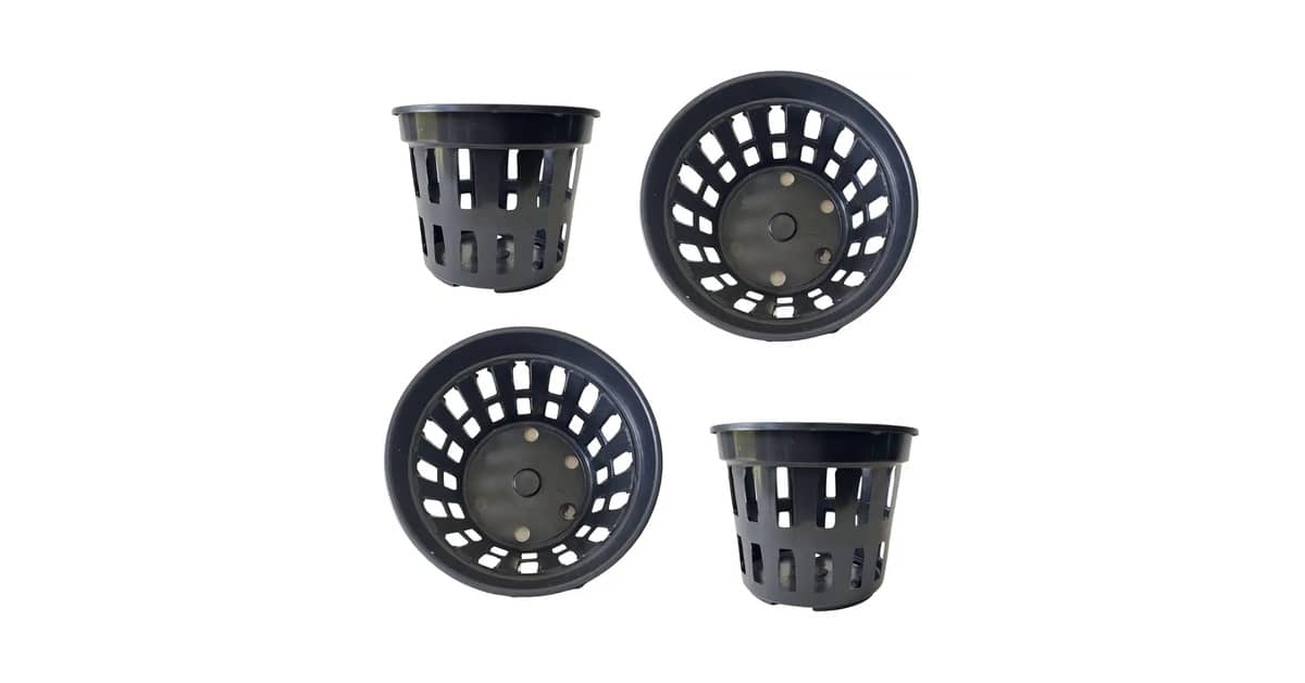 Melhor Vaso para Plantar Zamioculca: Guia Essencial de Escolha