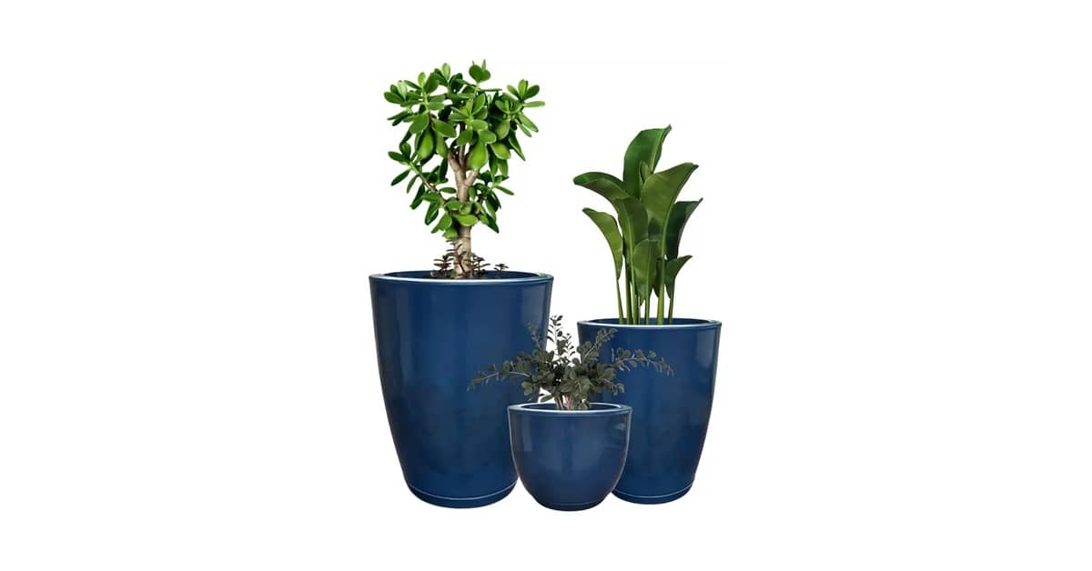 Melhor Vaso para Plantas: Guia com Opções Luxo e Duráveis