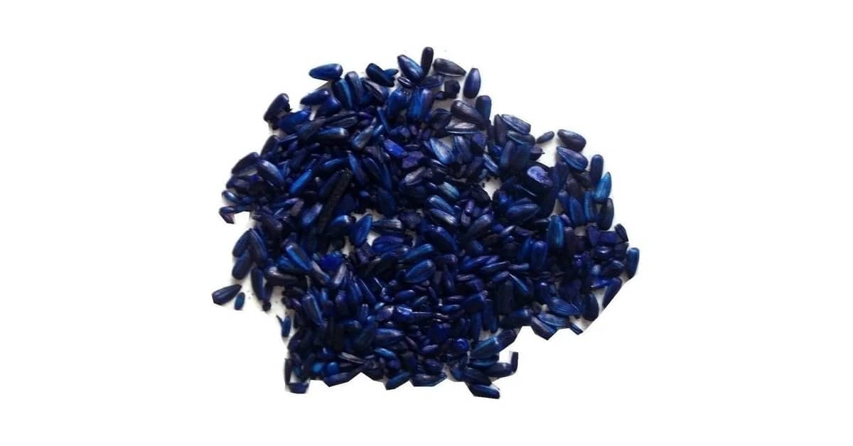 Melhor Veneno para Rato no Forro: Guia Essencial Contra Roedores