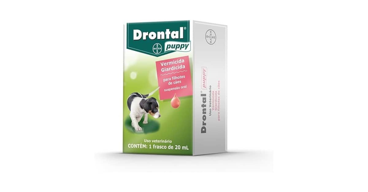 Melhor Vermífugo para Cães Filhotes: Guia Essencial