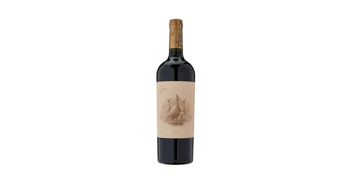 Melhor Vinho Argentino Malbec: Guia Completo e Sabores Únicos