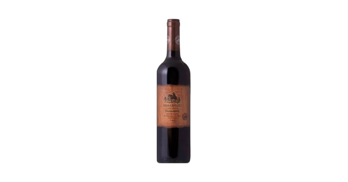 Melhor Vinho Carmenere Chileno: Descubra Sabores Incríveis