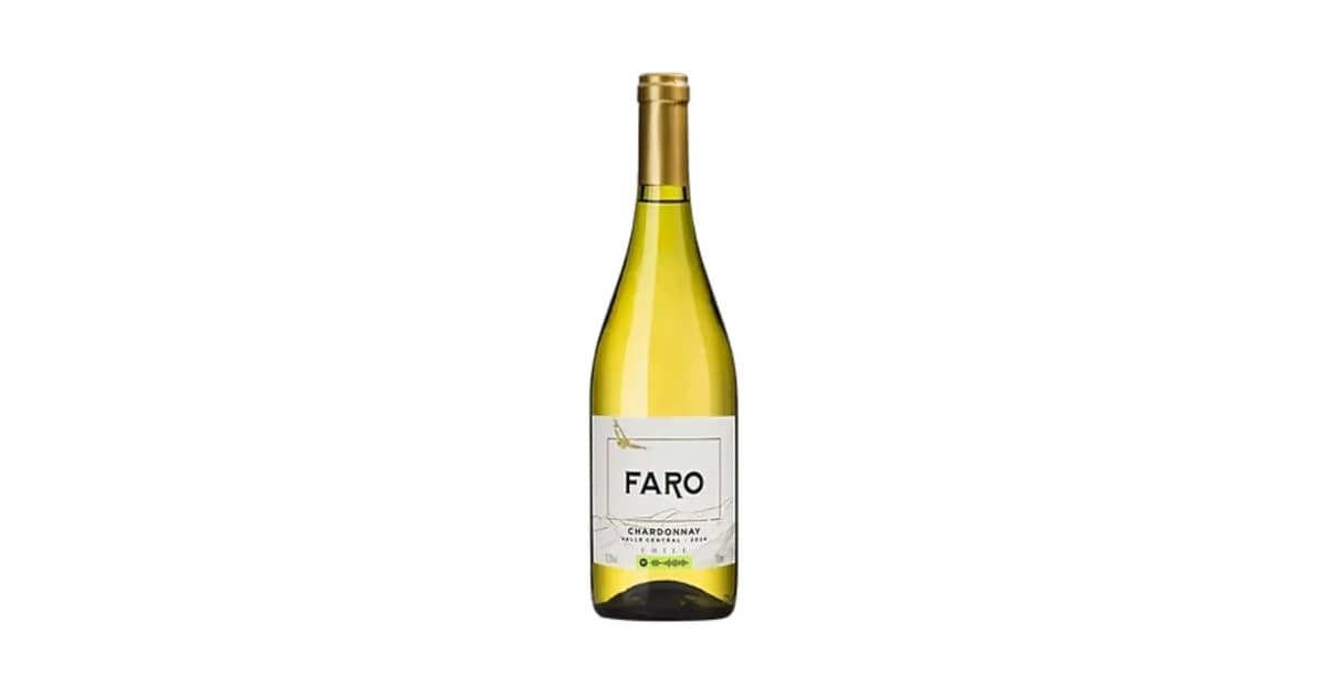 Melhor Vinho Chileno do Mundo: Sabores Que Encantam