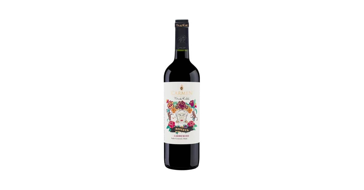 Melhor Vinho Chileno ou Argentino: Guia de Sabores