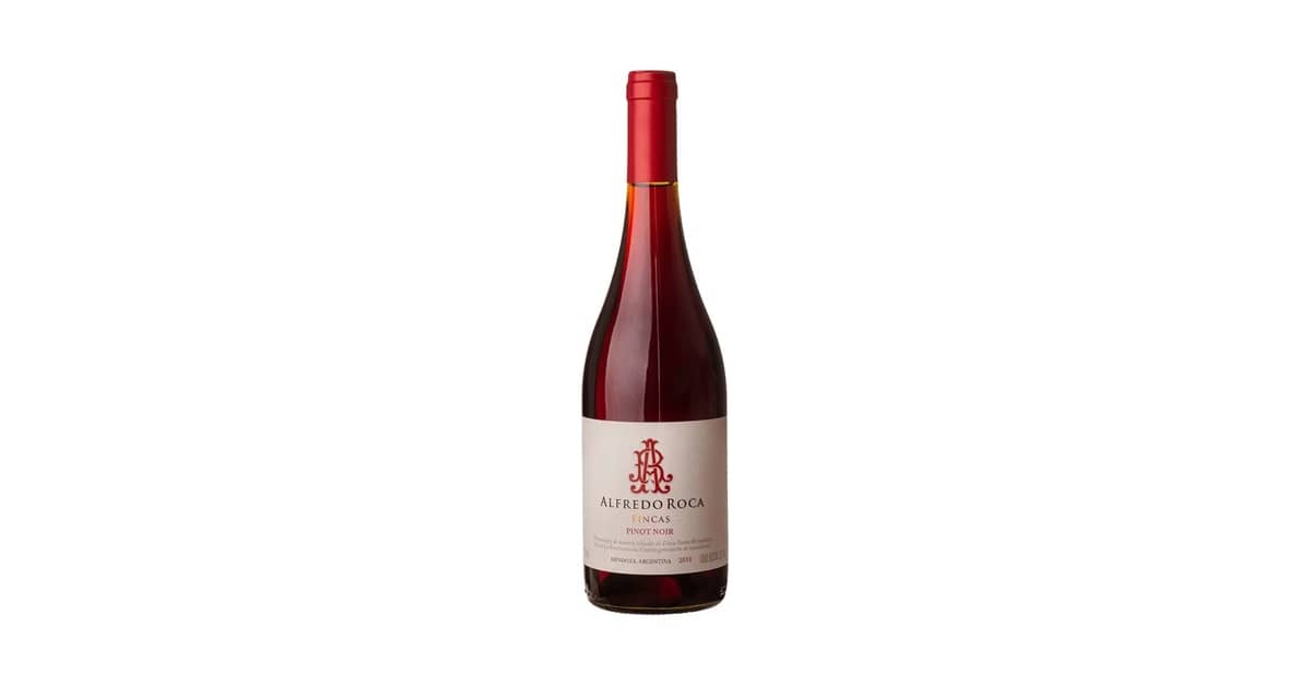 Melhor Vinho Pinot Noir Argentino: Sabores Únicos da Argentina