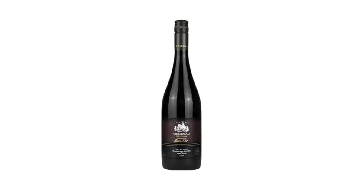 Melhor Vinho Tinto Pinot Noir: Guia Completo de Sabores