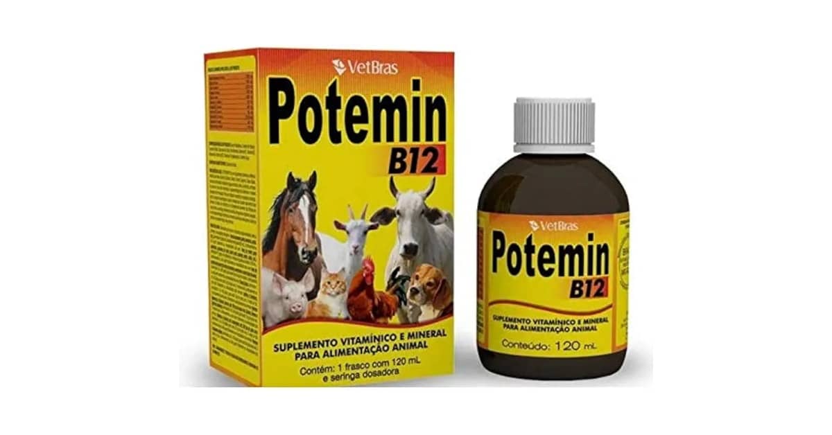 Melhor Vitamina B12 para Cachorro: Cães Saudáveis!