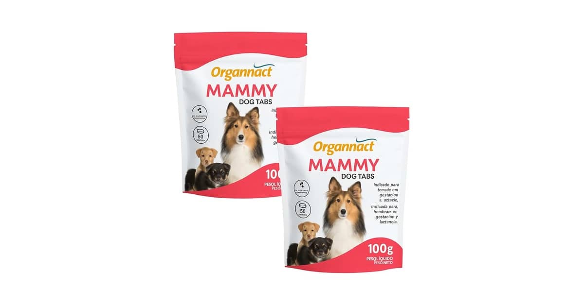 Melhor Vitamina para Cadela Gestante: Guia Essencial