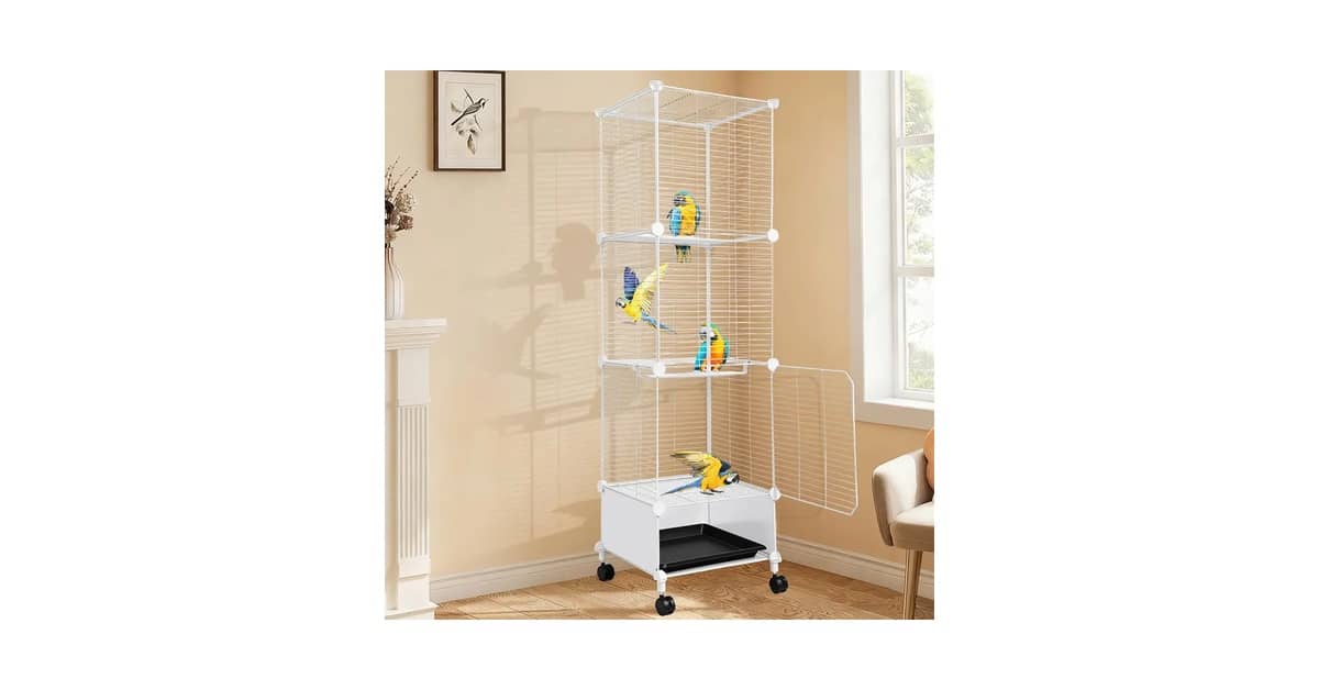 Melhor Viveiro para Papagaio: A Escolha Certa