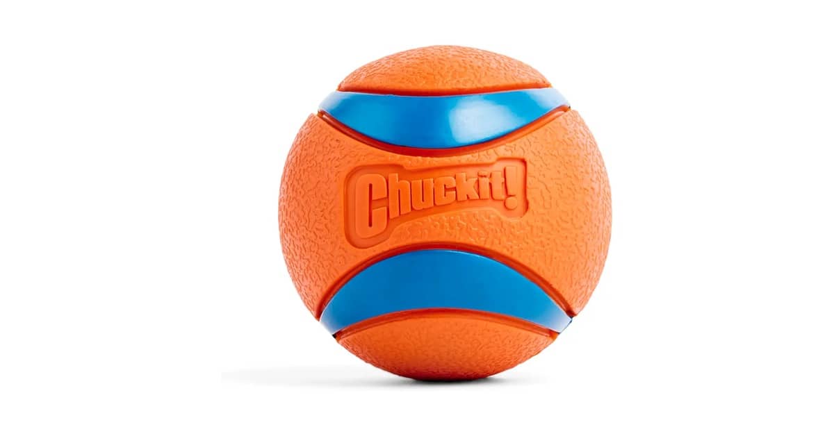 Melhores Brinquedos para Cachorro Grande: Diversão Duradoura