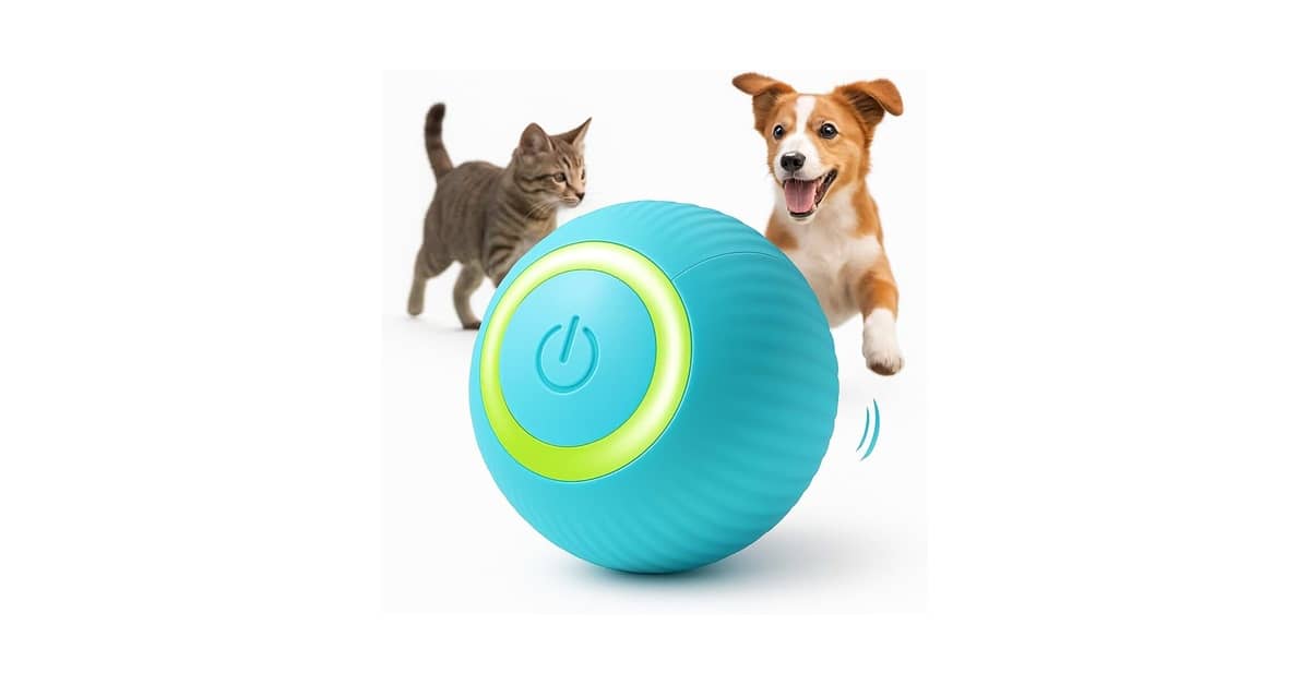 Melhores Brinquedos para Cachorros que Ficam Sozinhos: 5 Opções Divertidas