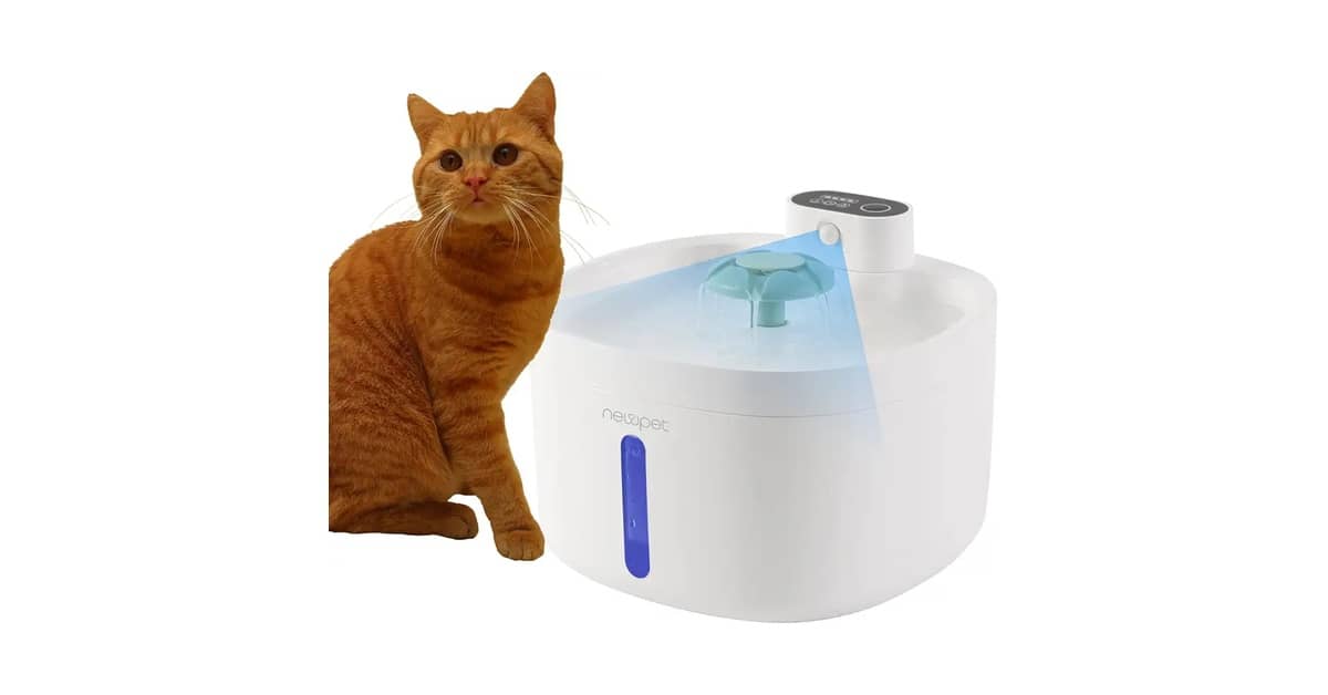 Qual a Melhor Fonte de Água para Gatos: Dicas Essenciais!