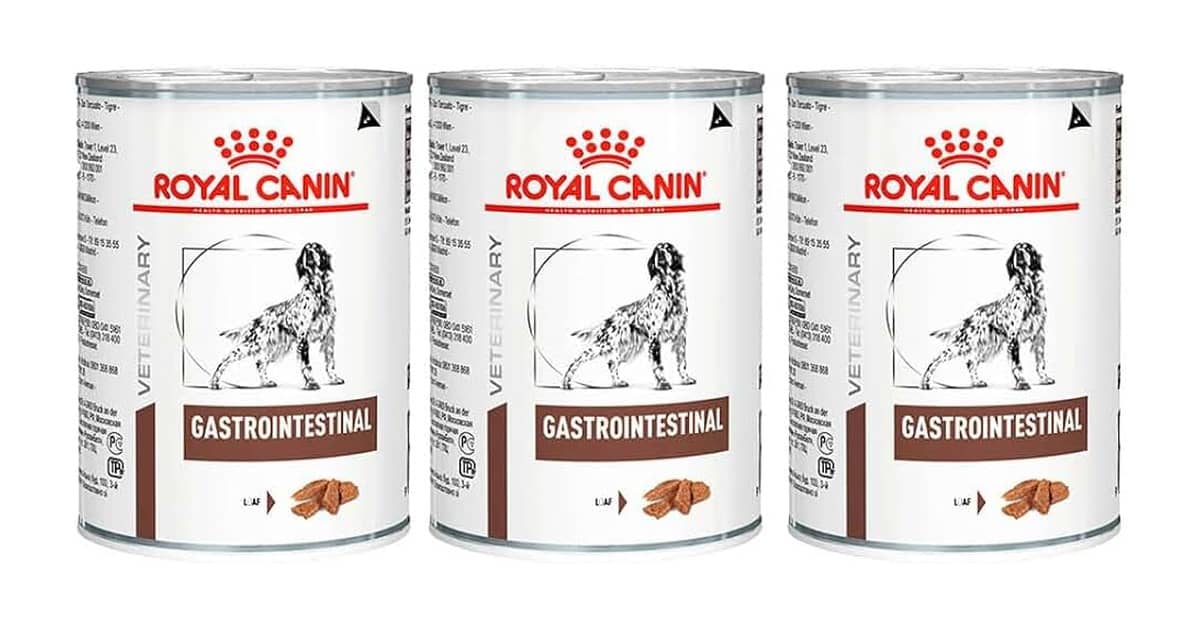 Qual a Melhor Marca de Ração para Cachorro Vira Lata? Guia Completo