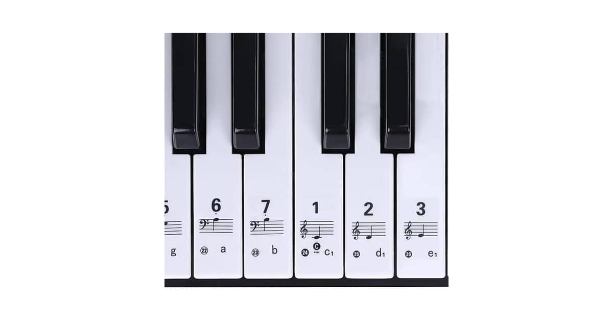 Qual a Melhor Marca de Teclado Musical para iniciantes: Guia Essencial