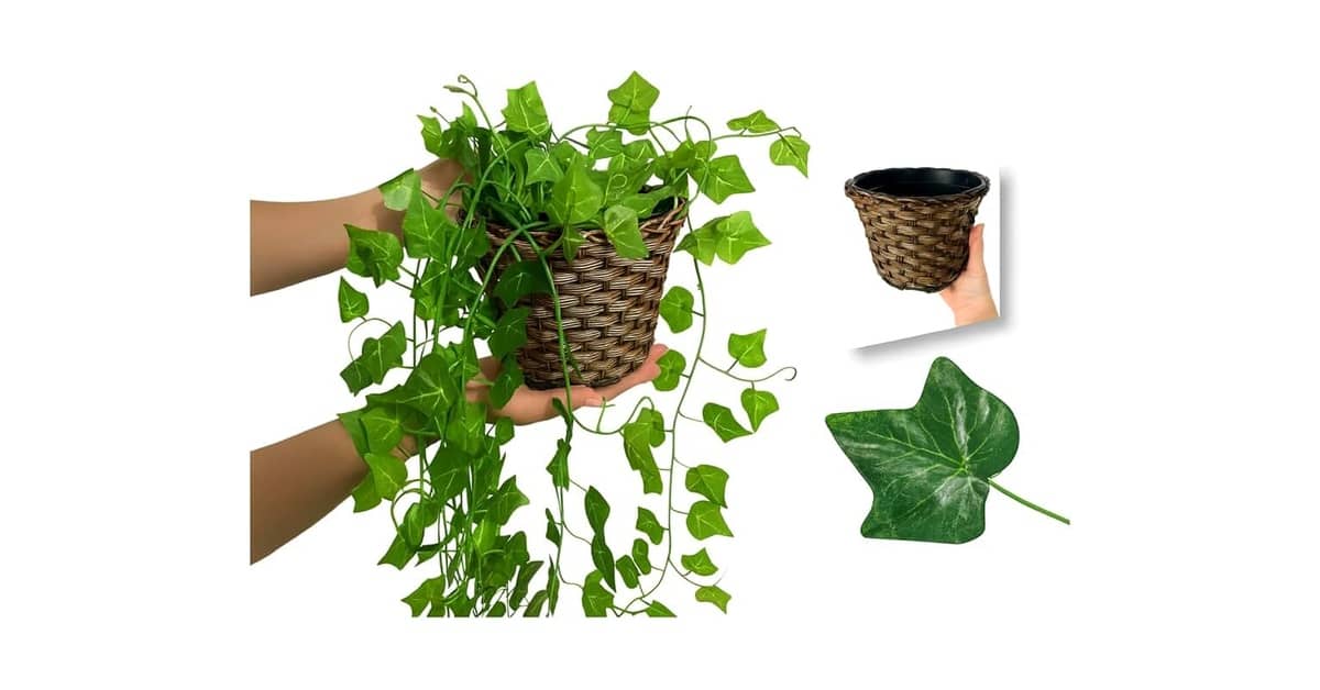 Qual a Melhor Planta para Mesa de Escritório: Guia Completo 2024