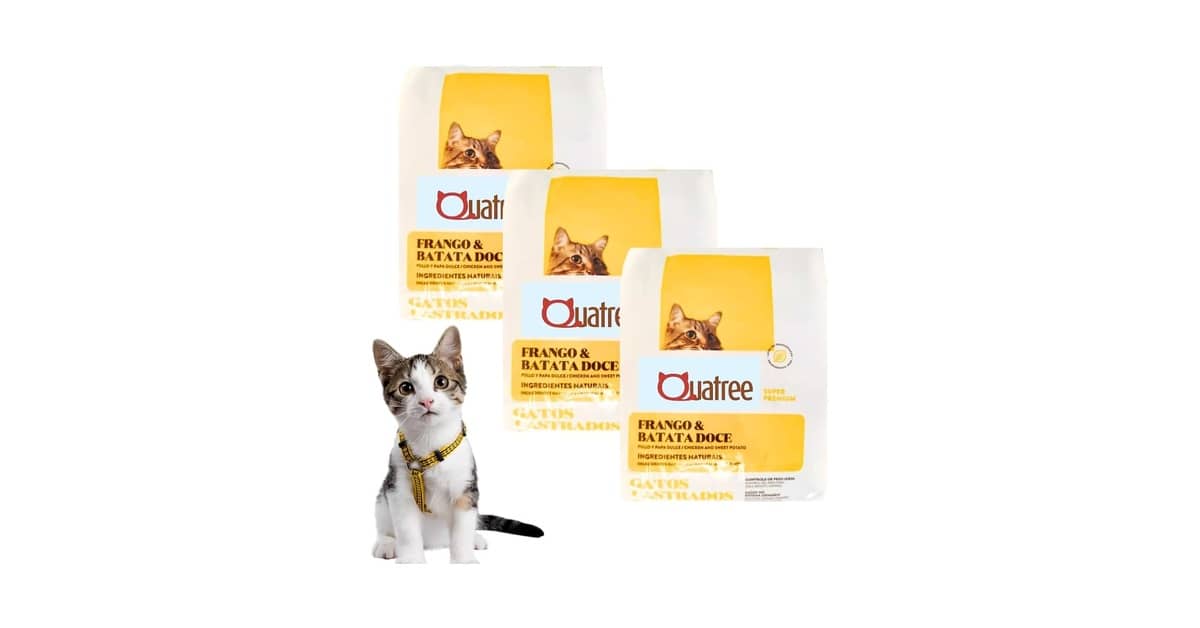 Qual a Melhor Ração para Gato Castrado com Infecção Urinária? Guia Essencial