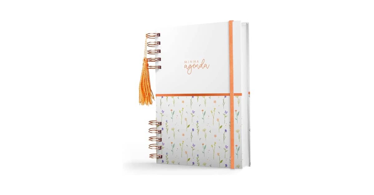 Qual é a Melhor Agenda Permanente Para Organizar?