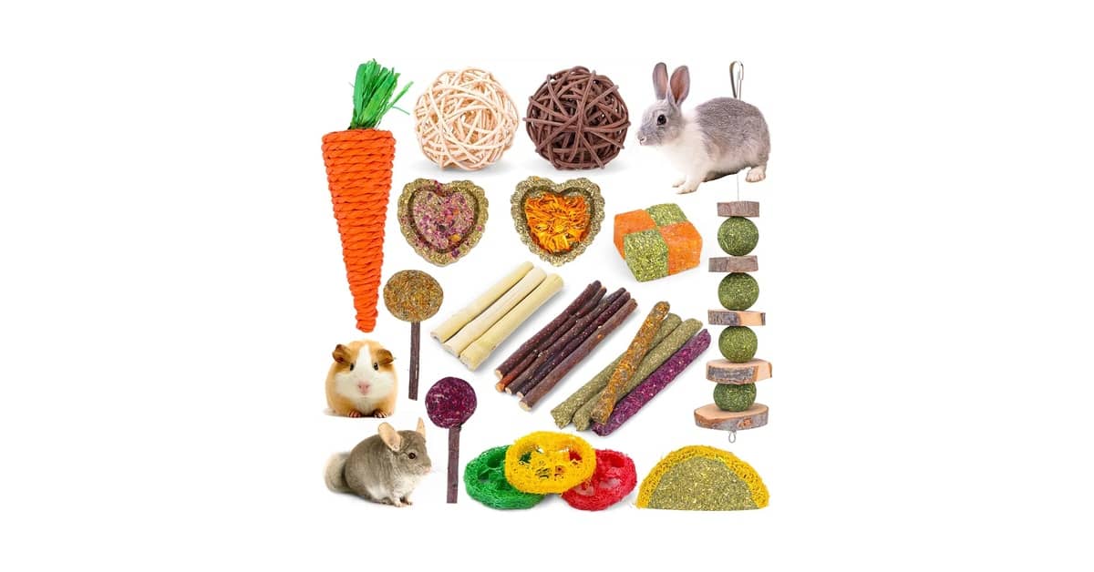 Qual é a Melhor Bola de Feno para Roedor? Guia de Materiais