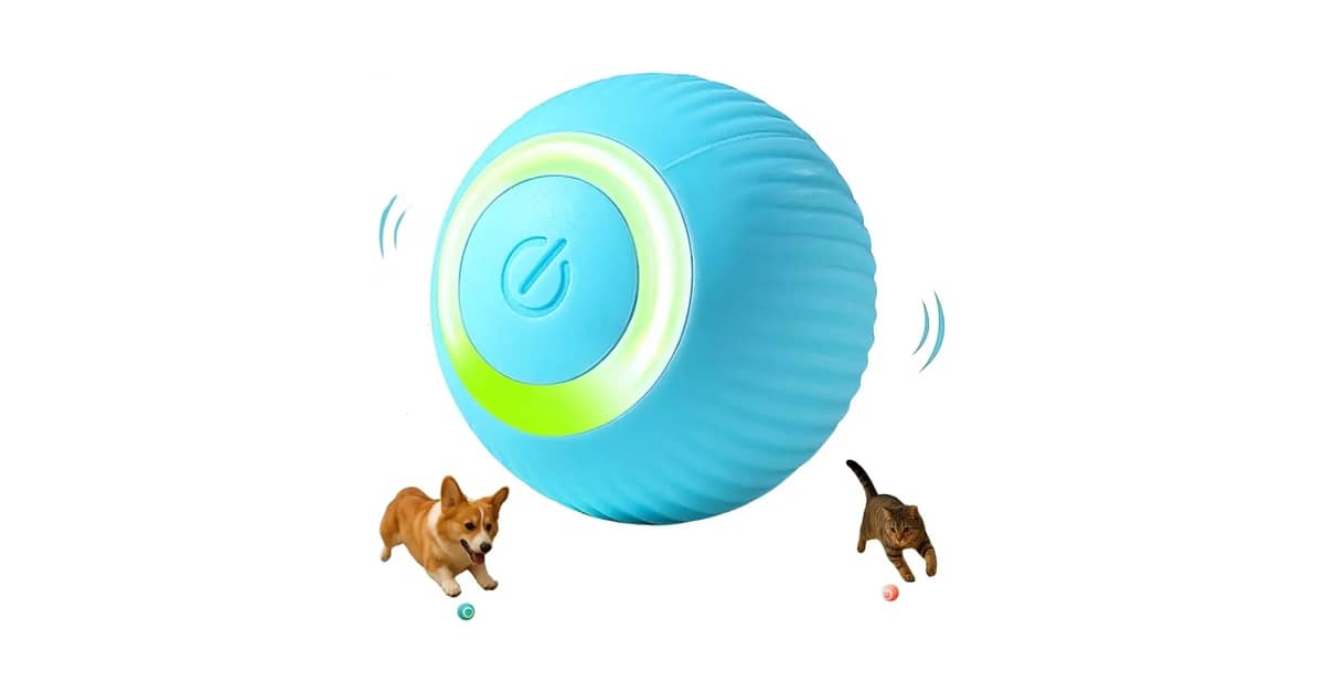Qual É a Melhor Bola Para Cachorro Que Não Fura? Guia
