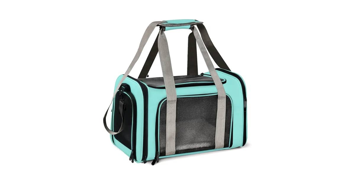 Qual é a Melhor Bolsa de Transporte Para Pet em Avião? Guia com 10 Modelos