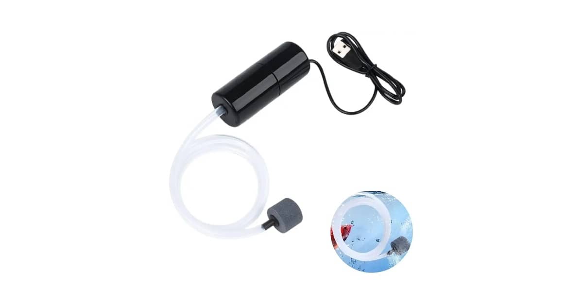 Qual É a Melhor Bomba de Ar Para Aquário? Do Portátil ao Potente