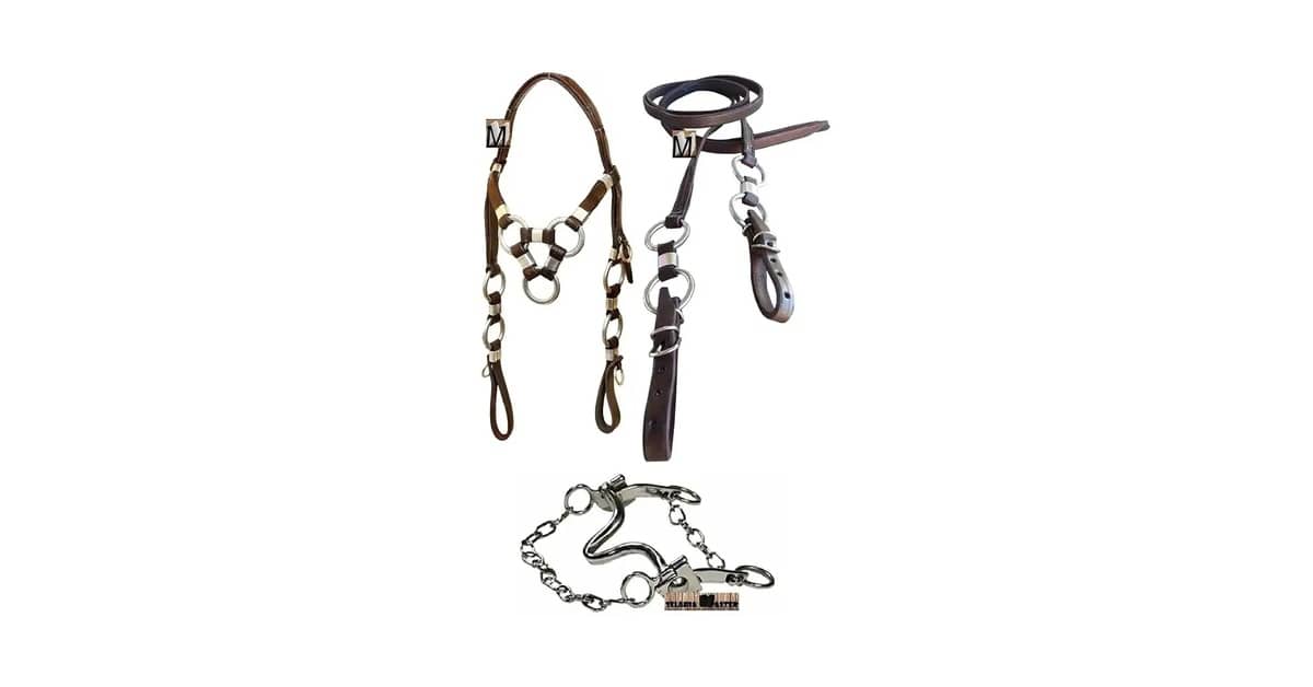 Qual É a Melhor Cabeçada Para Cavalo? Couro ou Nylon