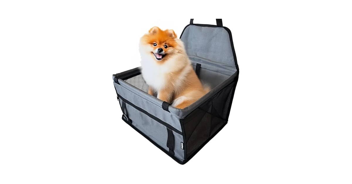Qual É a Melhor Cadeirinha de Cachorro Para Viajar? Guia de Compra