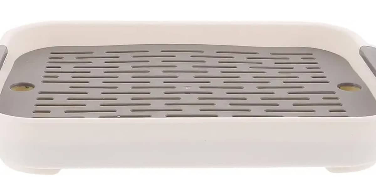 Qual É a Melhor Caixa de Areia para Coelho para Manter a Gaiola Limpa?