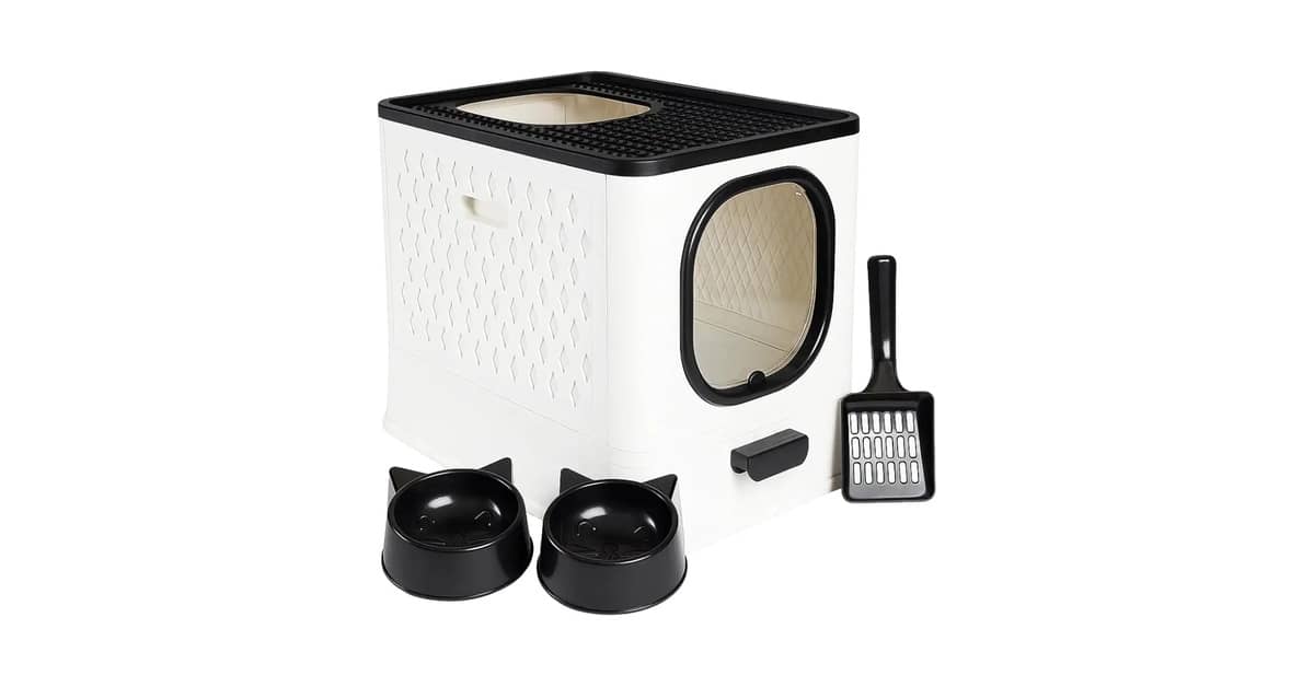 Qual é a Melhor Caixa de Areia para Gato? Fim do Odor